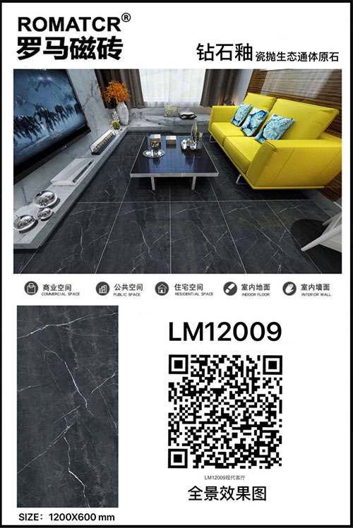 LM12009