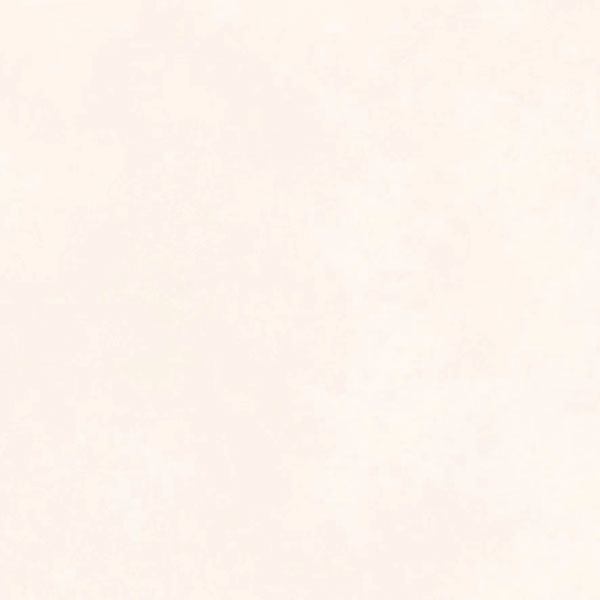 8V01